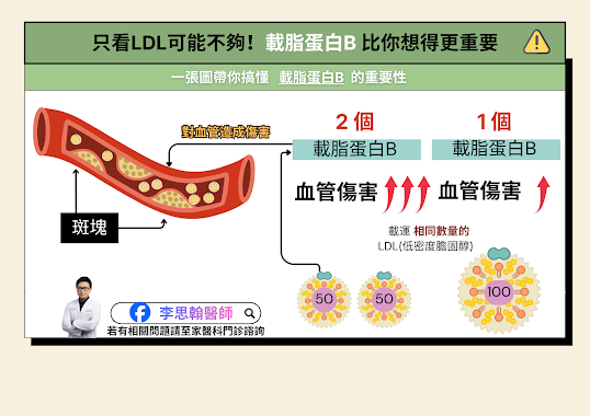 心血管疾病元凶-載脂蛋白B(apolipoprotein B, apoB) 12345